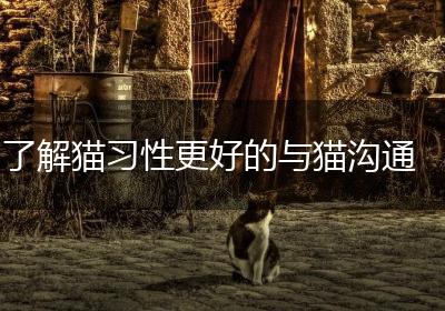 了解猫习性更好的与猫沟通