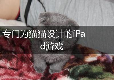 专门为猫猫设计的iPad游戏