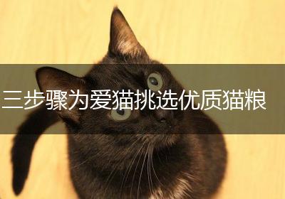 三步骤为爱猫挑选优质猫粮