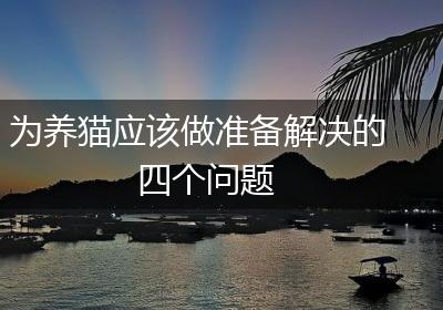 为养猫应该做准备解决的四个问题