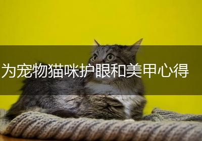 为宠物猫咪护眼和美甲心得