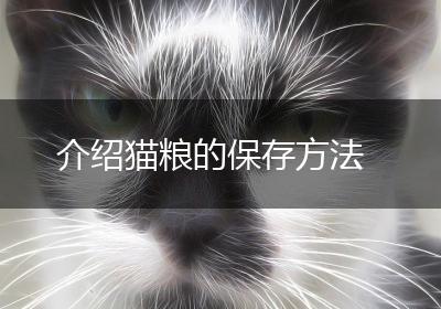 介绍猫粮的保存方法