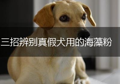 三招辨别真假犬用的海藻粉