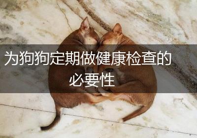 为狗狗定期做健康检查的必要性