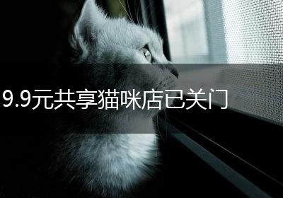 9.9元共享猫咪店已关门