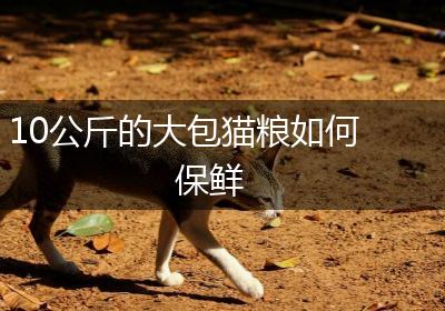 10公斤的大包猫粮如何保鲜
