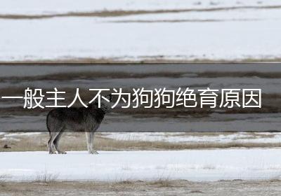一般主人不为狗狗绝育原因