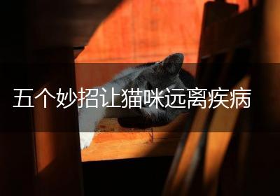 五个妙招让猫咪远离疾病