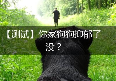【测试】你家狗狗抑郁了没？