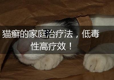 猫癣的家庭治疗法，低毒性高疗效！