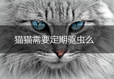 猫猫需要定期驱虫么