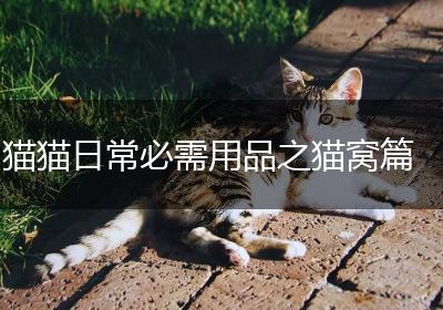猫猫日常必需用品之猫窝篇