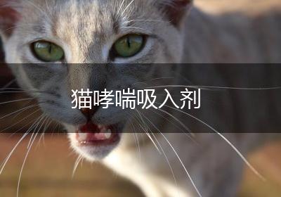 猫哮喘吸入剂