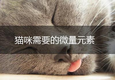 猫咪需要的微量元素