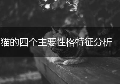 猫的四个主要性格特征分析