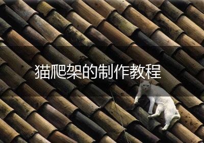 猫爬架的制作教程