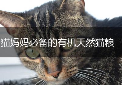 猫妈妈必备的有机天然猫粮