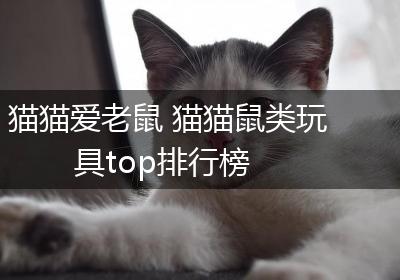 猫猫爱老鼠 猫猫鼠类玩具top排行榜
