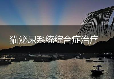 猫泌尿系统综合症治疗