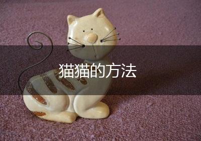 猫猫的方法