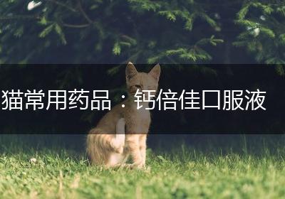 猫常用药品：钙倍佳口服液