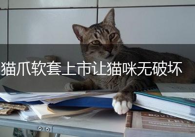 猫爪软套上市让猫咪无破坏