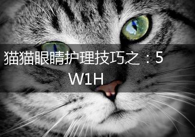 猫猫眼睛护理技巧之：5W1H
