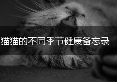 猫猫的不同季节健康备忘录