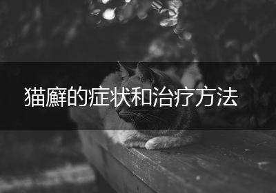 猫廯的症状和治疗方法