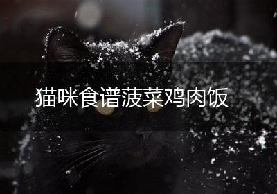 猫咪食谱菠菜鸡肉饭