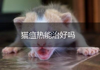 猫瘟热能治好吗