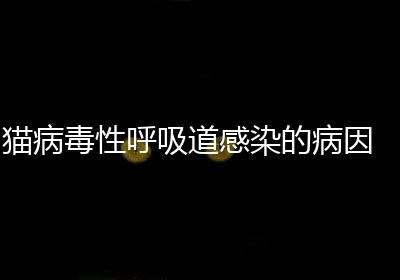 猫病毒性呼吸道感染的病因