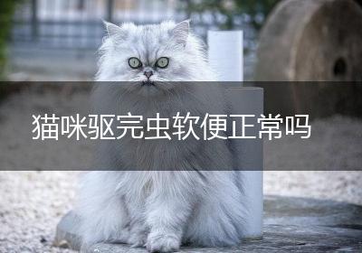 猫咪驱完虫软便正常吗