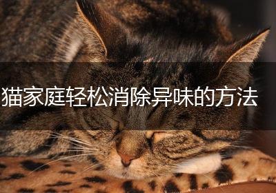 猫家庭轻松消除异味的方法