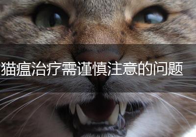 猫瘟治疗需谨慎注意的问题