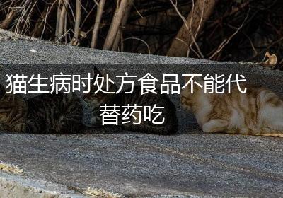 猫生病时处方食品不能代替药吃