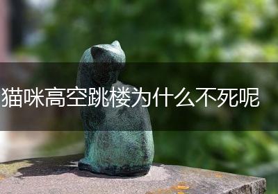 猫咪高空跳楼为什么不死呢
