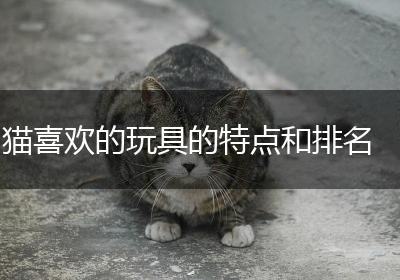 猫喜欢的玩具的特点和排名