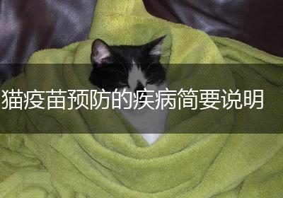 猫疫苗预防的疾病简要说明