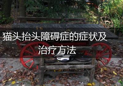 猫头抬头障碍症的症状及治疗方法