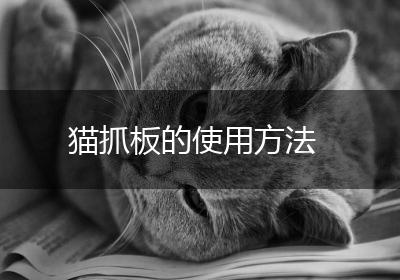 猫抓板的使用方法