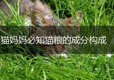猫妈妈必知猫粮的成分构成
