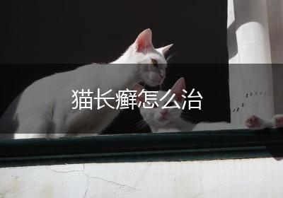 猫长癣怎么治