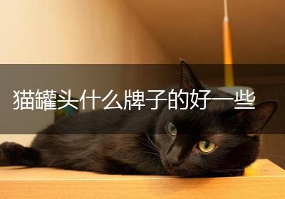 猫罐头什么牌子的好一些