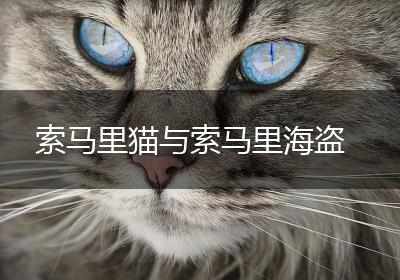 索马里猫与索马里海盗