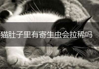 猫肚子里有寄生虫会拉稀吗
