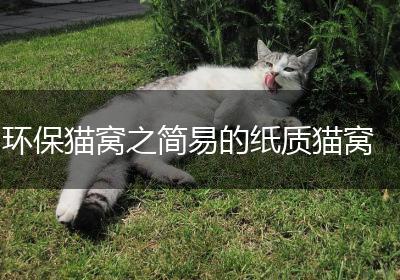 环保猫窝之简易的纸质猫窝