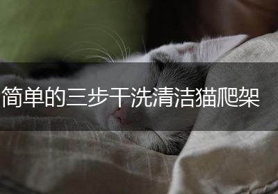 简单的三步干洗清洁猫爬架