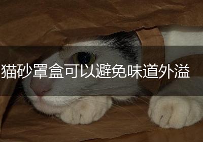 猫砂罩盒可以避免味道外溢