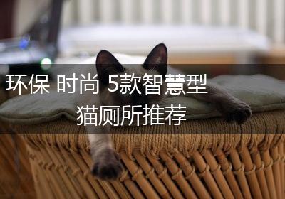 环保 时尚 5款智慧型猫厕所推荐